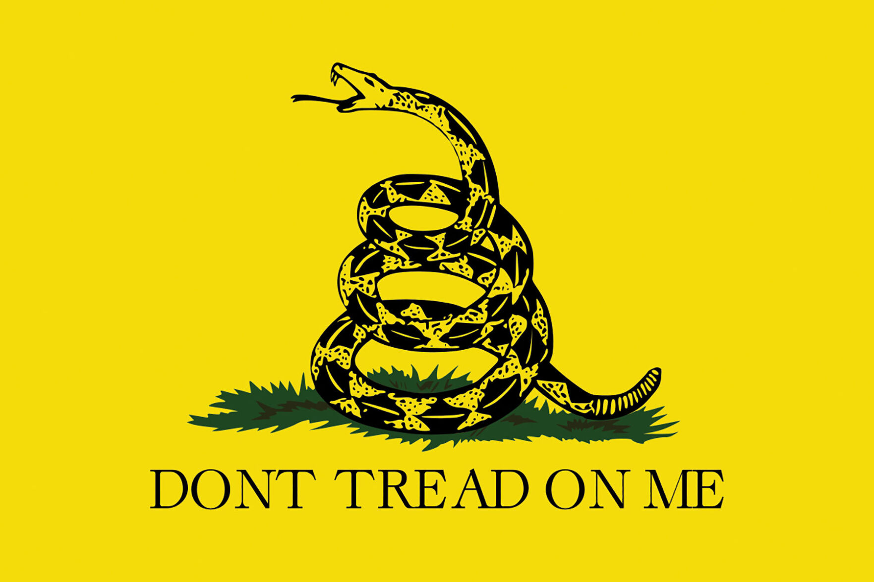 coverstory_eli-Gadsden_flag-copy.jpg
